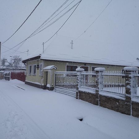 Aterman Apartment'S Sinca Veche 外观 照片