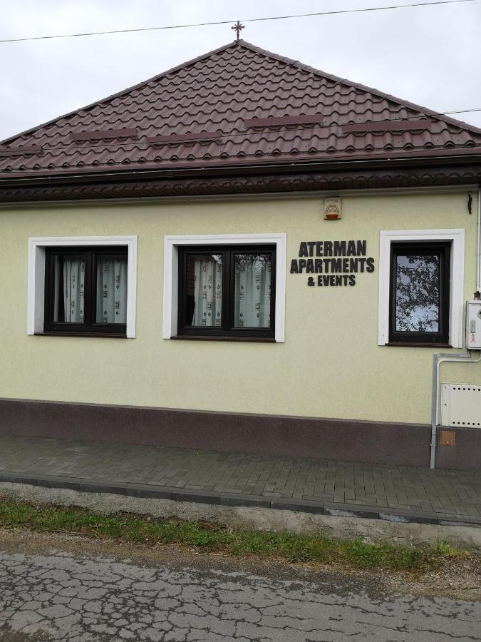 Aterman Apartment'S Sinca Veche 外观 照片
