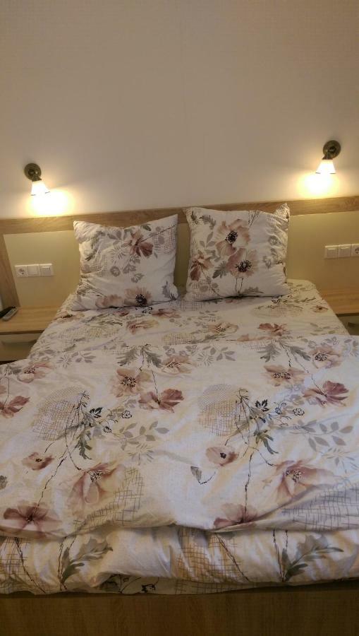 Aterman Apartment'S Sinca Veche 外观 照片