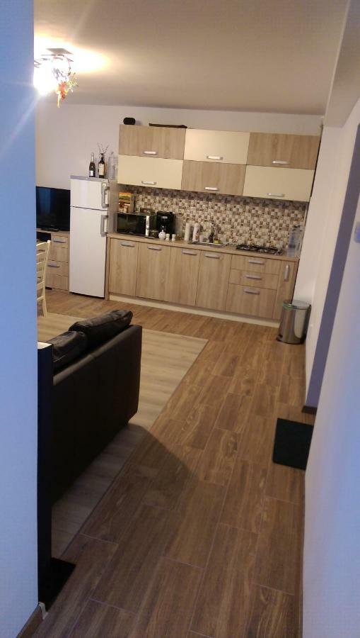 Aterman Apartment'S Sinca Veche 外观 照片