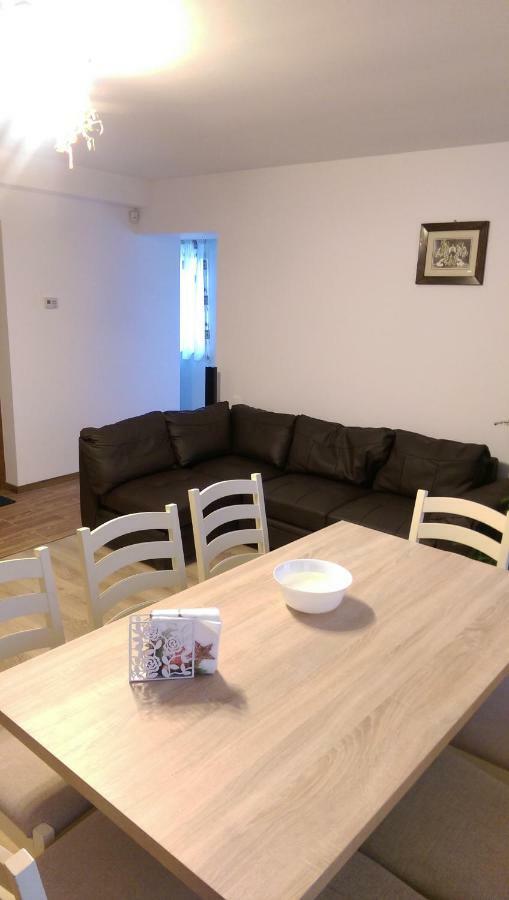 Aterman Apartment'S Sinca Veche 外观 照片